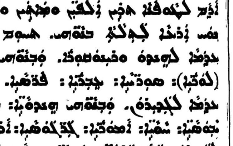 About the Sons of Shem