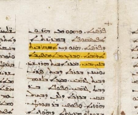 A Letter on Barsauma, pt. 3