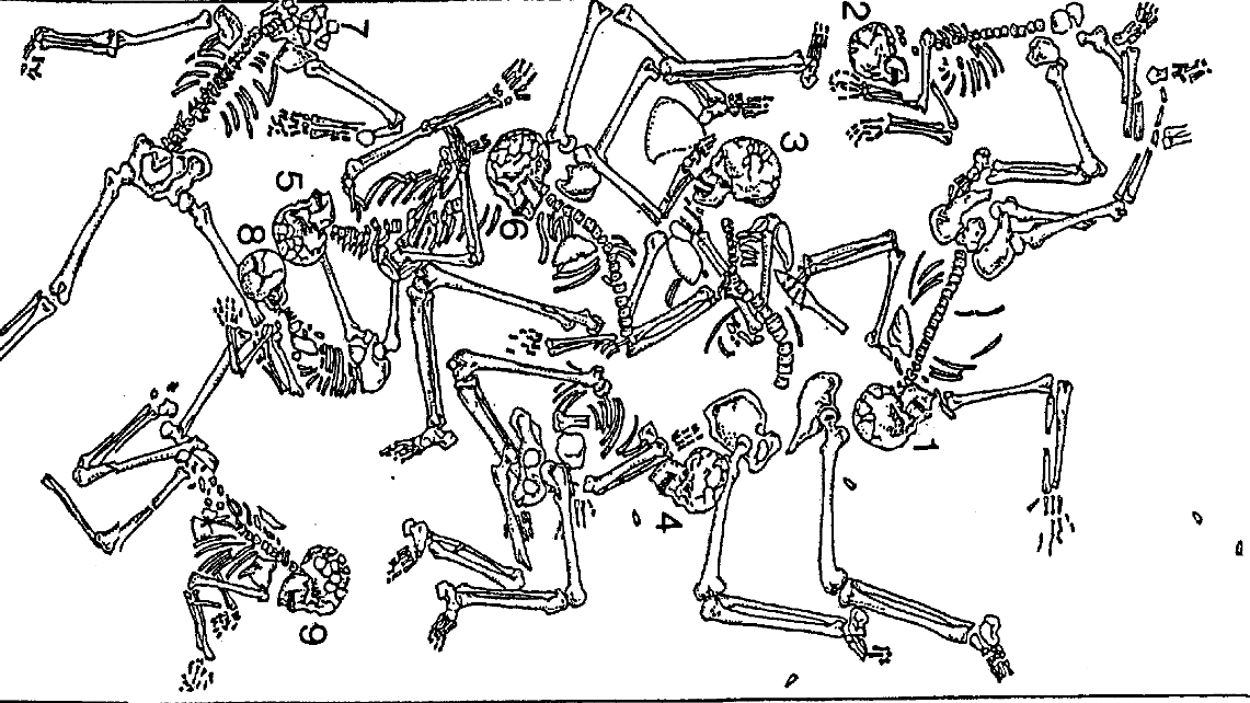 Ancient DNA from the Halzi Gate (612 BC) Confirms Aramean Continuity in Mesopotamia and What It Means for Modern Arameans