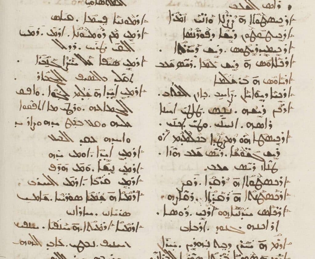 Bar Bahlul's Lexicon on Arameans